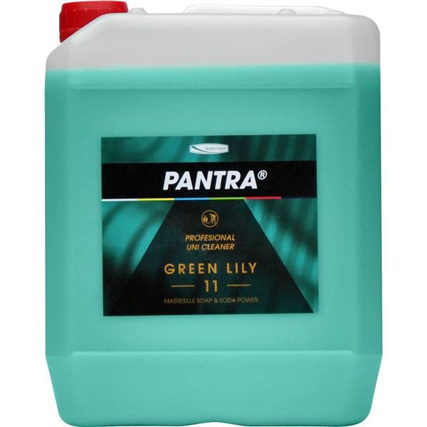 BANCHEM Pantra Profesional 11- Green Lily- 5l